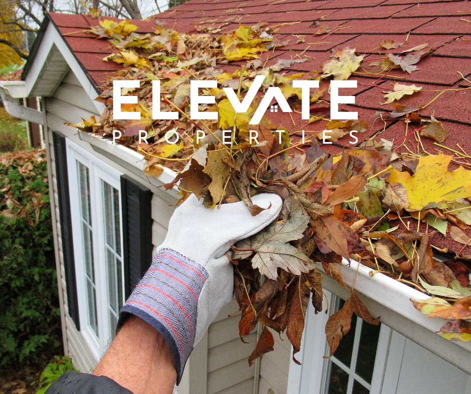 Peace of Mind This Fall: Maintenance Insights for Property Owners